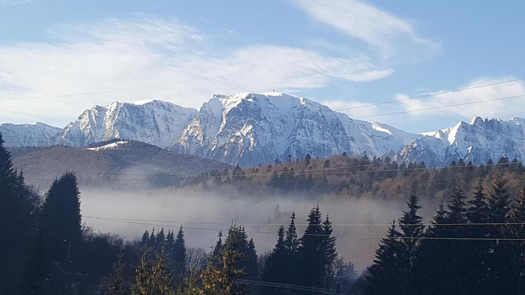 Treasure Mountain Предеал Екстериор снимка